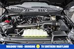 New 2024 Ford F-150 XLT SuperCrew Cab 4WD Pickup for sale #WF72892 - photo 22