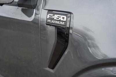 New 2025 Ford F-150 - photo 1