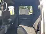 2024 Ford F-150 SuperCrew Cab 4WD Pickup for sale #AD5616 - photo 11