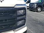 2024 Ford F-250 Crew Cab 4WD Pickup for sale #AD5675 - photo 4