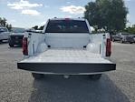 2025 Ford F-150 SuperCrew Cab 4WD Pickup for sale #DD1151 - photo 10