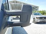 2024 Ford Transit 250 Low Roof RWD, Empty Cargo Van for sale #R0761 - photo 7