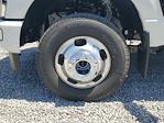 New 2024 Ford F-350 Platinum Crew Cab 4WD DRW Pickup for sale #R1282 - photo 6