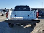 2024 Ford F-150 SuperCrew Cab 4WD Pickup for sale #R3934 - photo 9
