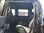 2025 Ford F-150 SuperCrew Cab RWD Pickup for sale #SL2523 - photo 10