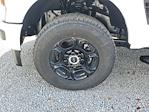 2025 Ford F-250 Crew Cab 4WD Pickup for sale #S0562 - photo 8