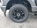 2025 Ford F-250 Crew Cab 4WD Pickup for sale #S0585 - photo 8