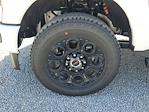 2025 Ford F-250 Crew Cab 4WD Pickup for sale #S0619 - photo 8