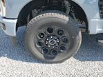 2025 Ford F-250 Crew Cab 4WD Pickup for sale #S0646 - photo 8
