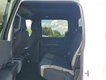 2025 Ford F-150 SuperCrew Cab RWD Pickup for sale #SL2585 - photo 10