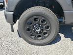 2025 Ford F-250 Crew Cab 4WD Pickup for sale #S0720 - photo 8