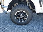 2025 Ford F-250 Crew Cab 4WD Pickup for sale #S0883 - photo 7