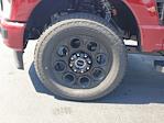 2025 Ford F-250 Crew Cab 4WD Pickup for sale #S0936 - photo 8
