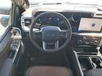 2025 Ford F-250 Crew Cab 4WD Pickup for sale #S1037 - photo 15