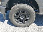 2025 Ford F-250 Crew Cab 4WD Pickup for sale #S1098 - photo 8