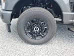 2025 Ford F-250 Crew Cab 4WD Pickup for sale #S1179 - photo 9