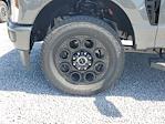 2025 Ford F-250 Crew Cab 4WD Pickup for sale #S1207 - photo 6