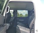 2025 Ford F-250 Crew Cab 4WD Pickup for sale #S1222 - photo 10