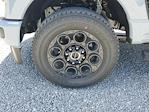 2025 Ford F-250 Crew Cab 4WD Pickup for sale #S1257 - photo 6