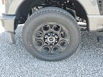 2025 Ford F-250 Crew Cab 4WD Pickup for sale #S1291 - photo 8
