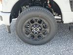 2025 Ford F-250 Crew Cab 4WD Pickup for sale #S1292 - photo 8