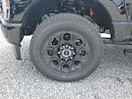 2025 Ford F-250 Crew Cab 4WD Pickup for sale #S1309 - photo 6