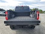 2025 Ford F-250 Crew Cab 4WD Pickup for sale #S1314 - photo 10