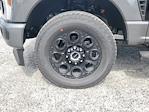 2025 Ford F-250 Crew Cab 4WD Pickup for sale #S1314 - photo 6