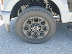 2025 Ford F-250 Crew Cab 4WD Pickup for sale #S1333 - photo 6