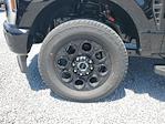 2025 Ford F-250 Crew Cab 4WD Pickup for sale #S1357 - photo 8