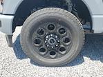 2025 Ford F-250 Crew Cab 4WD Pickup for sale #S1359 - photo 8