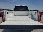 2025 Ford F-350 Crew Cab SRW 4WD Pickup for sale #S1387 - photo 10