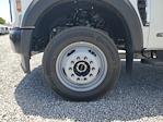 2025 Ford F-550 Crew Cab DRW 4WD Cab Chassis for sale #S1401 - photo 6