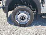 2025 Ford F-550 Crew Cab DRW 4WD Cab Chassis for sale #S1451 - photo 6