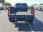 2024 Ford F-450 Crew Cab DRW 4WD Pickup for sale #S1516A - photo 10