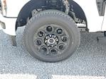 2025 Ford F-350 Crew Cab SRW 4WD Pickup for sale #S1552 - photo 7