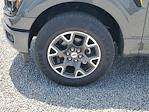 2025 Ford F-150 SuperCrew Cab RWD Pickup for sale #S1643 - photo 7