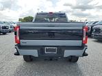 2025 Ford F-250 Crew Cab 4WD Pickup for sale #S1667 - photo 9