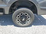 2025 Ford F-250 Crew Cab 4WD Pickup for sale #S1871 - photo 10