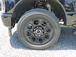 2025 Ford F-350 Crew Cab SRW 4WD Pickup for sale #S1966 - photo 5