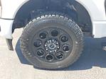 2024 Ford F-250 Crew Cab 4WD Pickup for sale #S1983A - photo 6