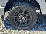 2025 Ford F-350 Crew Cab SRW 4WD Pickup for sale #S2021 - photo 6