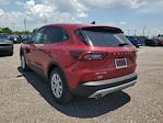 2025 Ford Escape FWD SUV for sale #S2121 - photo 4