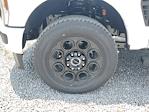 2025 Ford F-350 Crew Cab SRW 4WD Pickup for sale #S2151 - photo 8