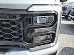 2025 Ford F-250 Crew Cab 4WD Pickup for sale #S2189 - photo 6