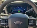 2025 Ford F-450 Crew Cab DRW 4WD Pickup for sale #S2210 - photo 17