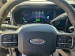 2025 Ford F-450 Crew Cab DRW 4WD Pickup for sale #S2211 - photo 17