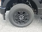 2025 Ford F-250 Crew Cab 4WD Pickup for sale #S2222 - photo 8