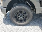 2025 Ford F-250 Crew Cab 4WD Pickup for sale #S2346 - photo 8