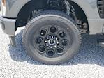 2025 Ford F-250 Crew Cab 4WD Pickup for sale #S2355 - photo 8